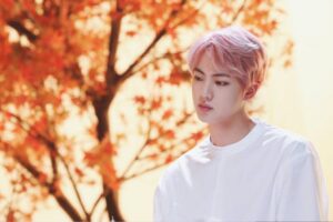 BTS’s Jin